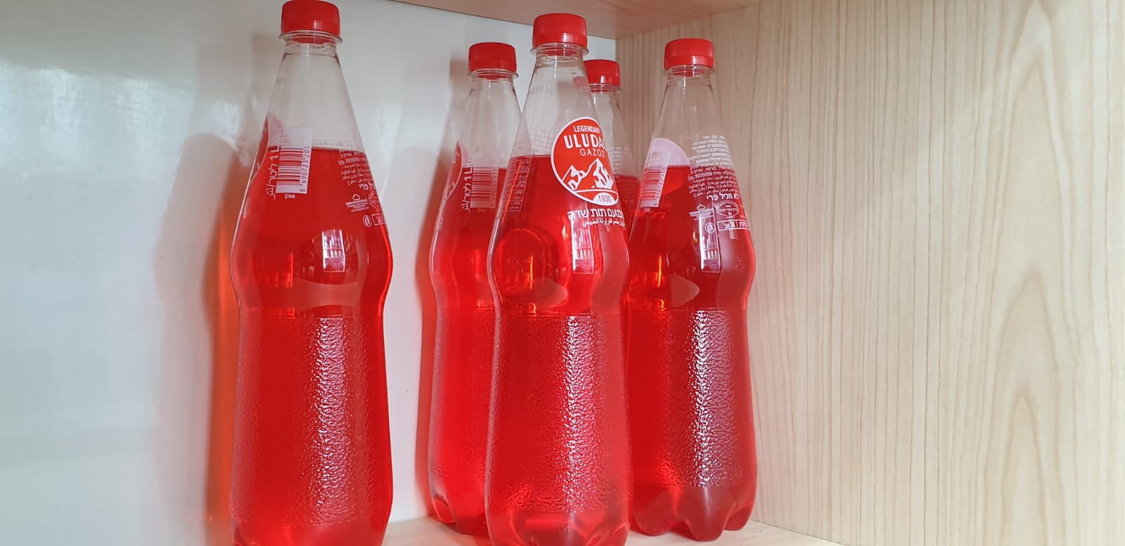 WhatsApp Image 2019-05-02 at 8.46.14 PM.jpeg.jpeg